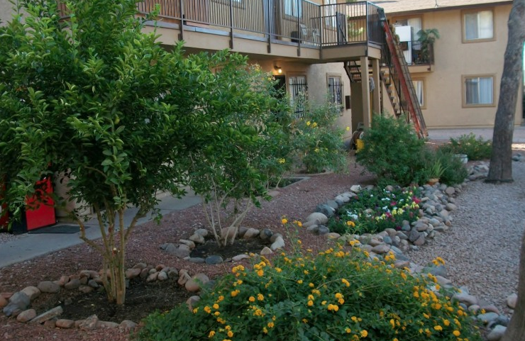 puerta del sol garden
